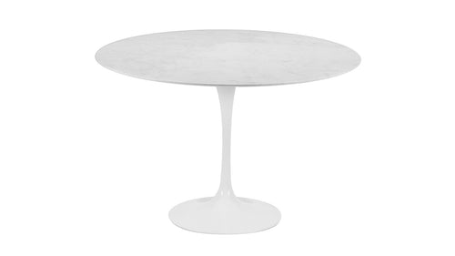 Table Tulip