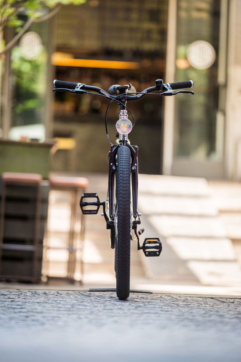 E-bike Limited Edition