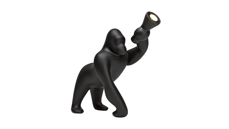 Kong xs table and floor lamp