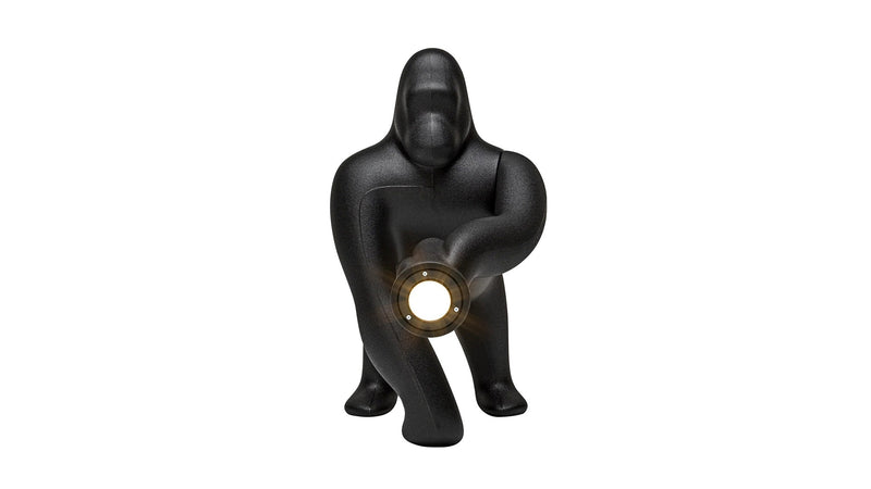 Kong xs table and floor lamp