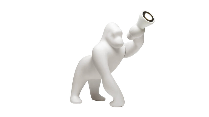 Kong xs table and floor lamp