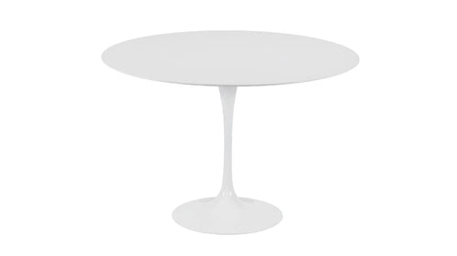 Mesa Tulip