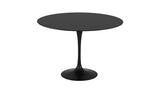 Table Tulip