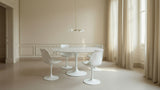 Table Tulip