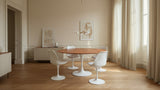 Table Tulip